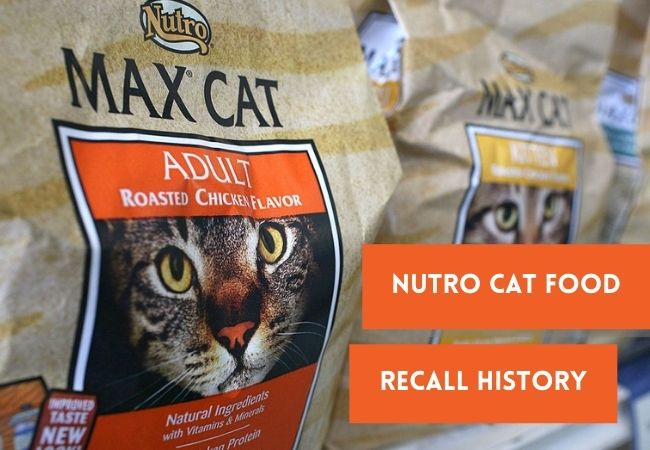 recall history of nutro cat food