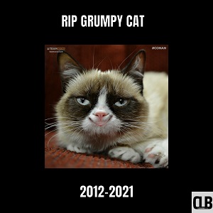 rip grumpy cat meme