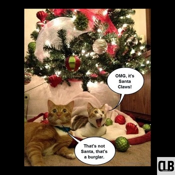 santa claws cat memes