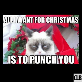 sarcastic christmas cat meme