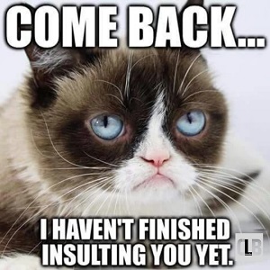 sarcastic grumpy cat meme