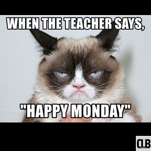 school grumpy cat meme