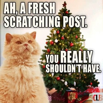 scratchpost christmas cat meme