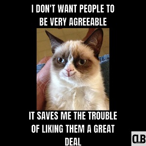 sleepy grumpy cat meme