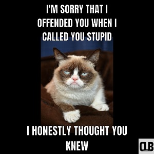 sorry grumpy cat meme