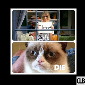 taylor swift grumpy cat meme