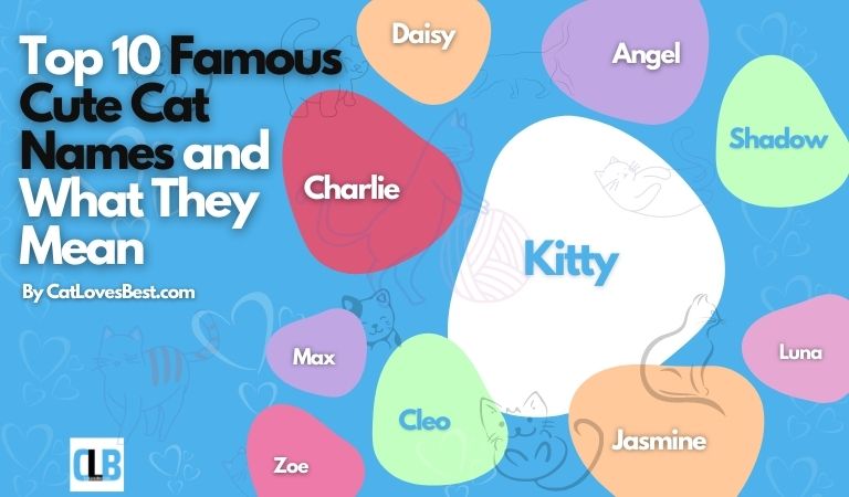 ten famous cute cat names and what they mean