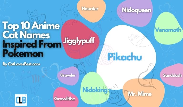top 10 anime cat names inspired from pokemon