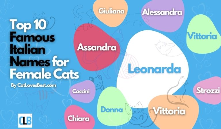 top 10 famous italian names for female cats