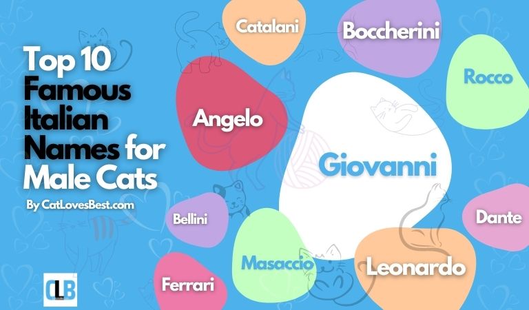 top 10 famous italian names for male cats