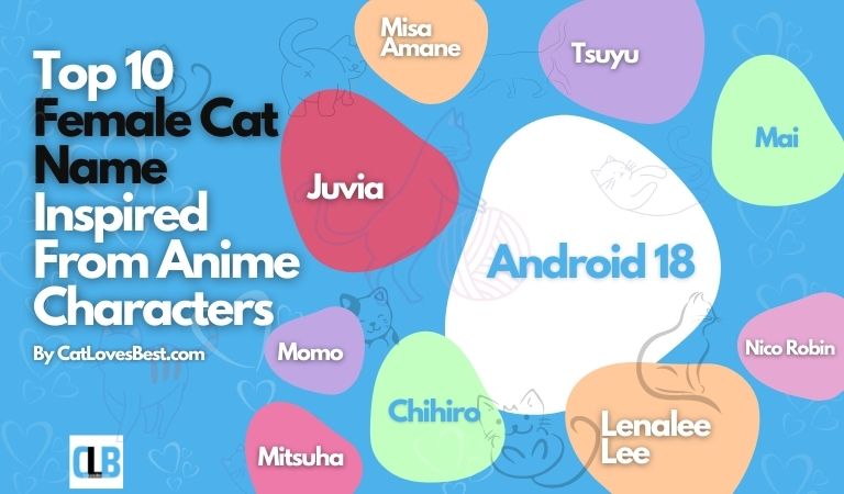 top 10 female cat name inspired from anime characters