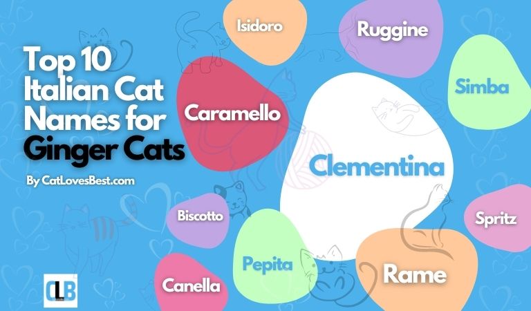 top 10 italian cat names for ginger cats
