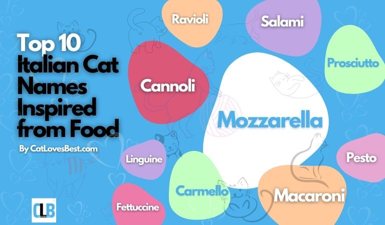top 10 italian cat names inspired from food