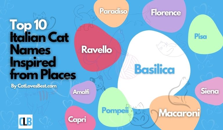 top 10 italian cat names inspired from places