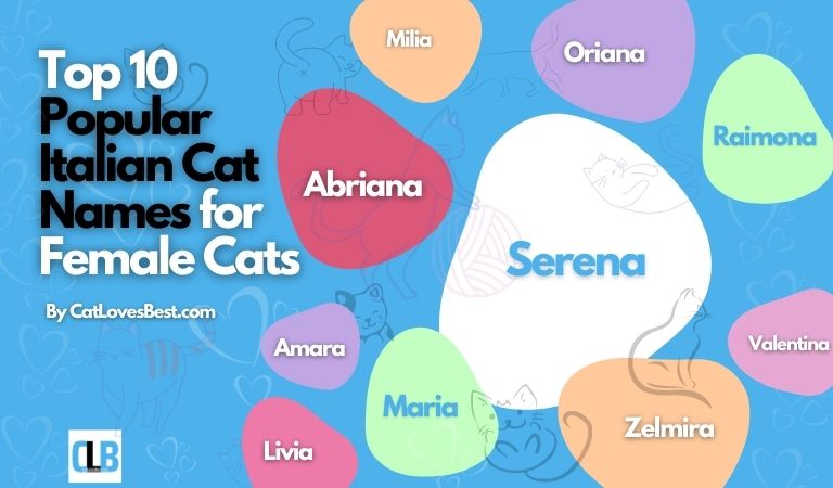 top 10 popular italian cat names for female cats