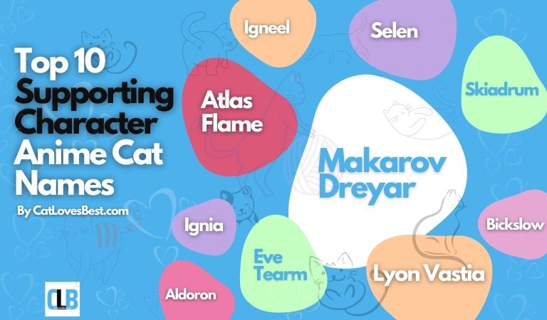 top 10 supporting character anime cat names