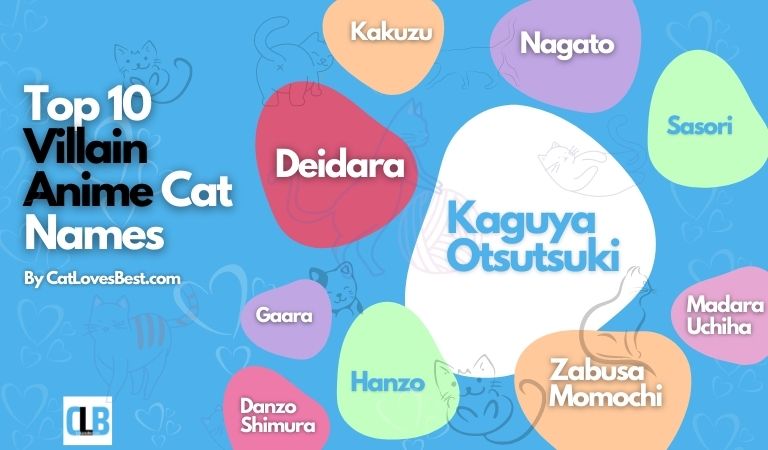 top 10 villain anime cat names