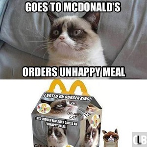 tuesday grumpy cat meme