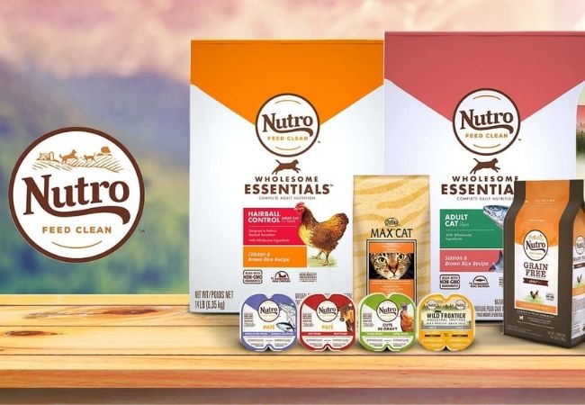 type of cat food offered by nutro