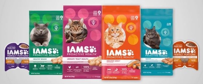 What Sort of Cat Food Does Iams Offers