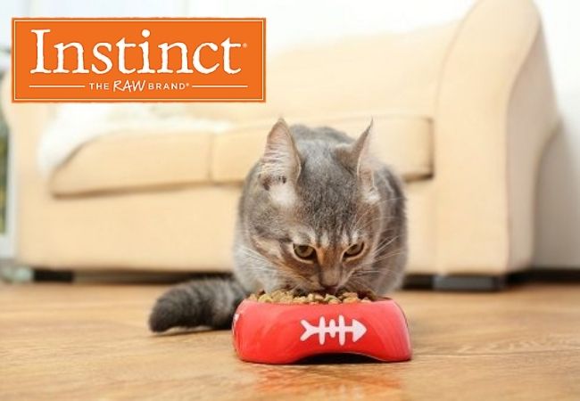 which cats are best suited for nature's variety instinct cat food