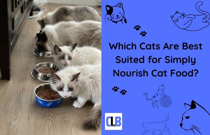 which cats are best suited for simply nourish cat food