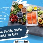 18 human foods safe for cats to eat