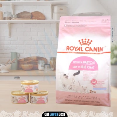 Royal Canin Feline Care Nutrition Nursing cats Food