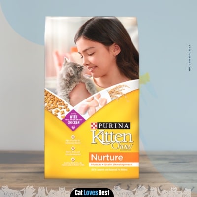 Purina Kitten Chow Dry Food  for nursing cats and kittens