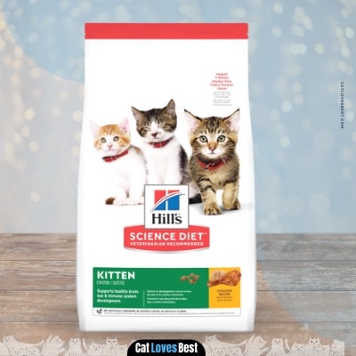 Hill’s Science Diet Dry Food for Pregnant Cats