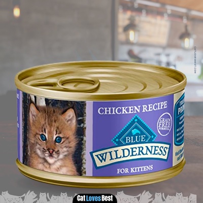 Blue Buffalo Wilderness High Protein Grain Free Pregnant Cat Food