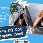5 amazing dit cat tent teepees ideas