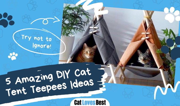 5 amazing dit cat tent teepees ideas