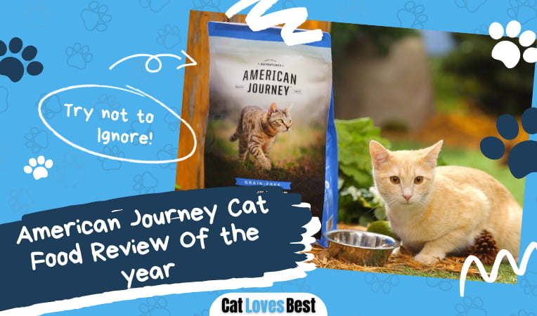 American Journey Cat Food