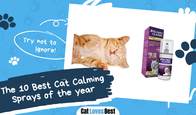 Best Cat Calming Sprays