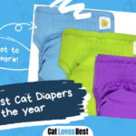Best Cat Diapers