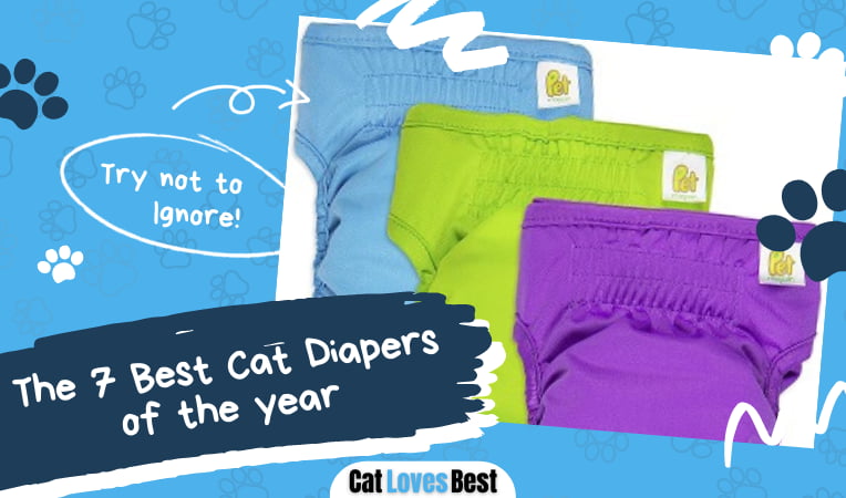 Best Cat Diapers