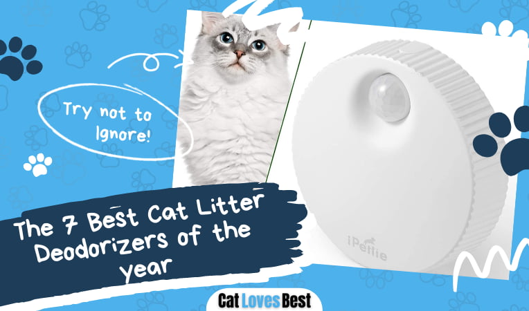 Best Cat Litter Deodorizers