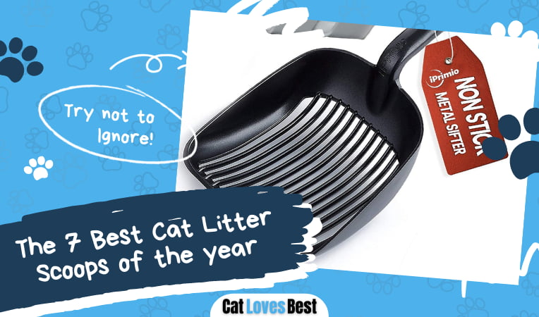 Best Cat Litter Scoops