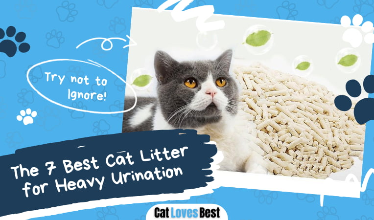Best Cat Litter for Heavy Urination
