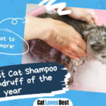Best Cat Shampoo for Dandruff