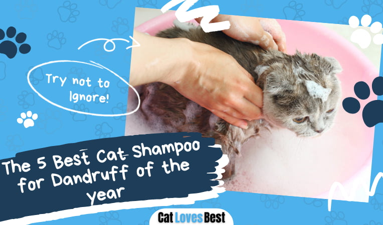 Best Cat Shampoo for Dandruff