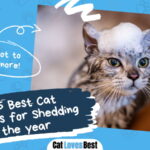 Best Cat Shampoos for Shedding