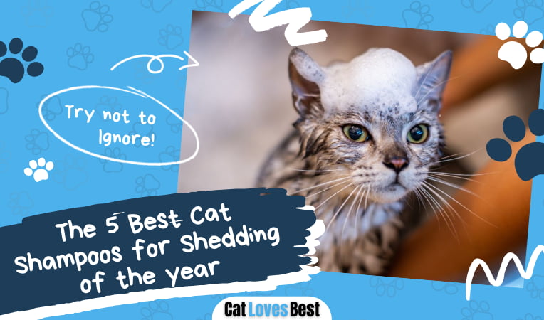 Best Cat Shampoos for Shedding