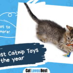 Best Catnip Toys