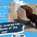 Best Covered Cat Litter Boxes