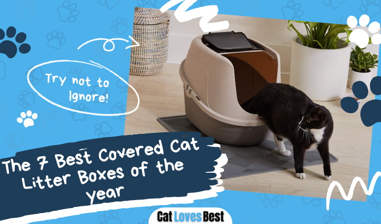 Best Covered Cat Litter Boxes