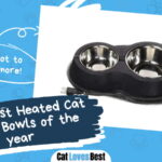 Best Heated Cat Water Bowls