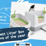 Best Litter Box for Kittens