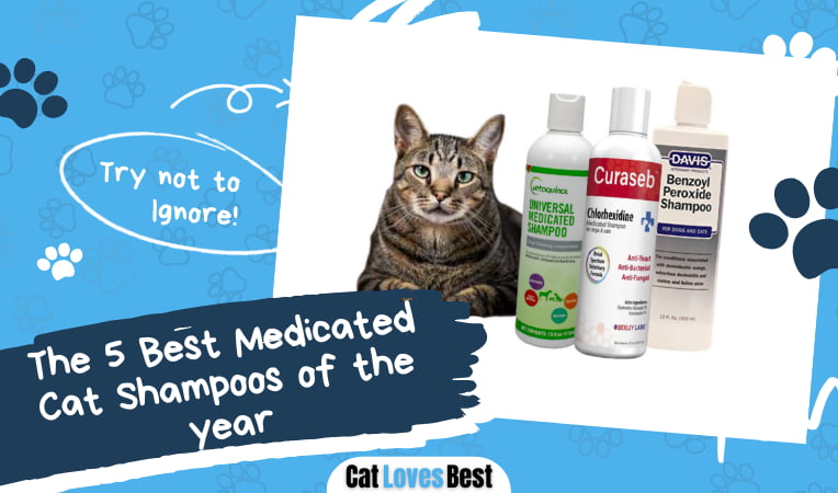 Best Medicated Cat Shampoos